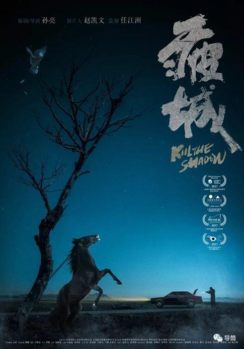 爱尔兰皇家外科医学院会计文凭证书